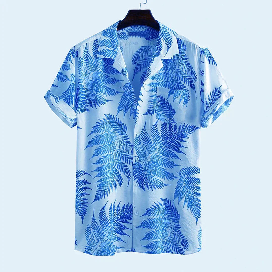 David – Camisa Estilosa Masculina